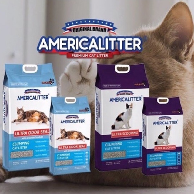 Cát AMERICA LITTER 10L than hoạt tính