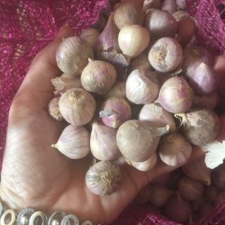 1kg tỏi cô đơn - tỏi đen