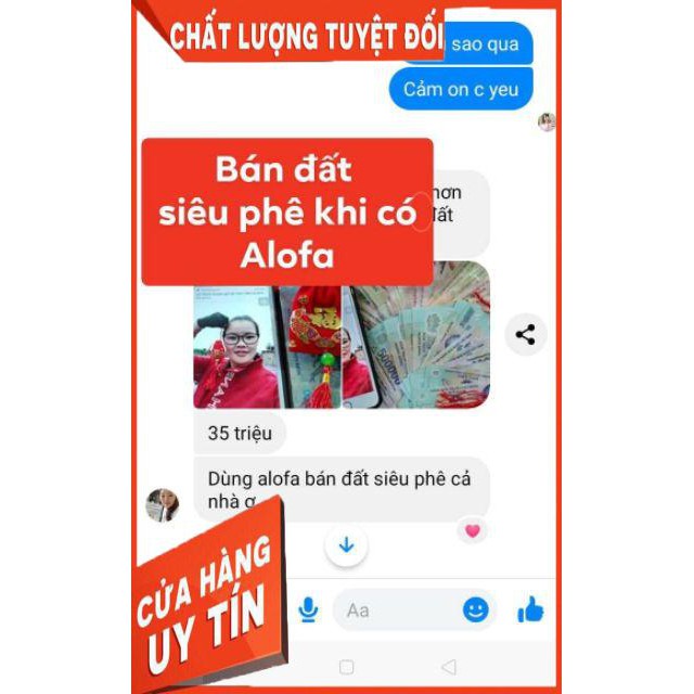 BỘT THẢO DƯỢC PHONG THỦY ALOFA (1 HỘP 40 GÓI) | BigBuy360 - bigbuy360.vn