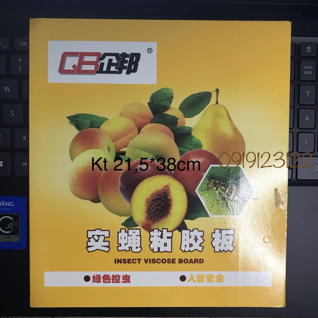 COMBO 5 MIẾNG DÍNH RUỒI VÀNG CỠ LỚN 21.5*39