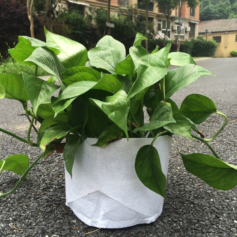 Túi Trồng Cây / Rễ Cây Bằng Vải Dày Dặn Tiện Dụng