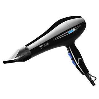 Máy sấy tóc công suất lớn hai chiều