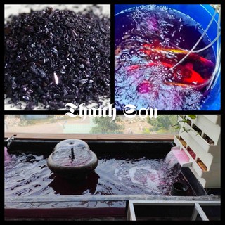 Thuốc Tím KMnO4 - Hũ 100gr Khử Trùng Hồ Cá - Thanh Sơn phụ kiện cá cảnh