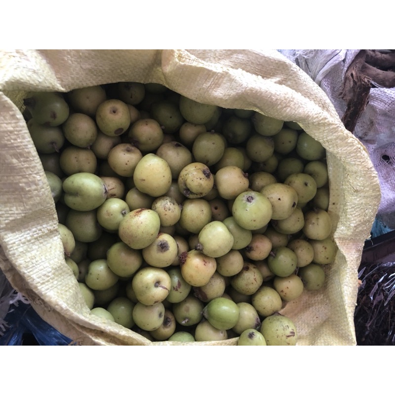 1kg táo mèo tươi chuẩn Tây Bắc