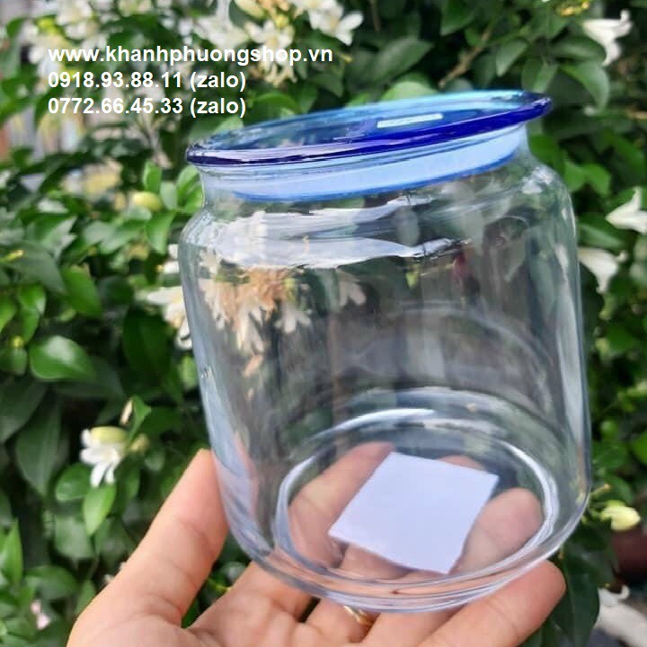 Hủ đựng gia vị thủy tinh - hủ đựng gia vị thủy tinh