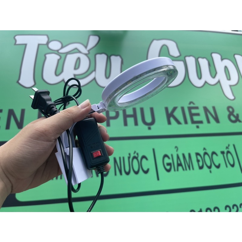 Đèn Led Tròn XuanMeiLong 3w kiểu dáng đẹp, thích hợp cho hồ thuỷ sinh và hồ cá nhỏ