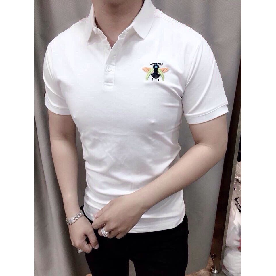 Áo thun nam ngắn tay CỔ BẺ cao cấp - Chất liệu cotton