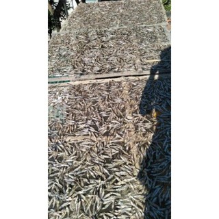 Cá Cơm Khô (500gr)