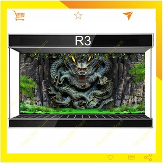 Tranh 3D dán bể cá mẫu rồng R3