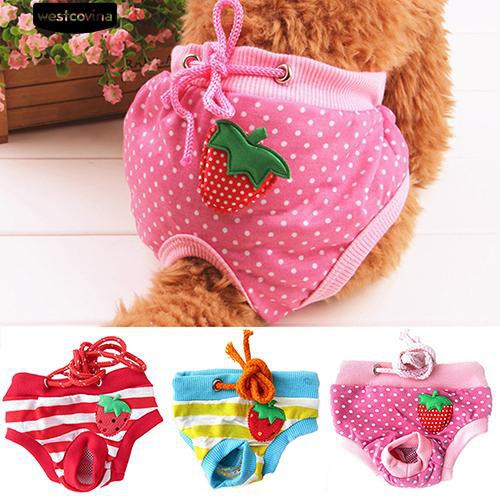 Quần lót cotton nhiều màu sắc họa tiết trái cây xinh xắn cho thú cưng