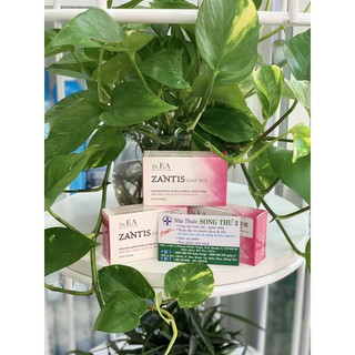 ZANTIS BAR – XÀ BÔNG SÁT KHUẨN LÀM SẠCH DA