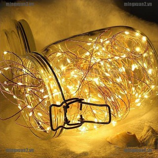 Dây Đèn Led Trang Trí 1M / 2M 3M30 Led