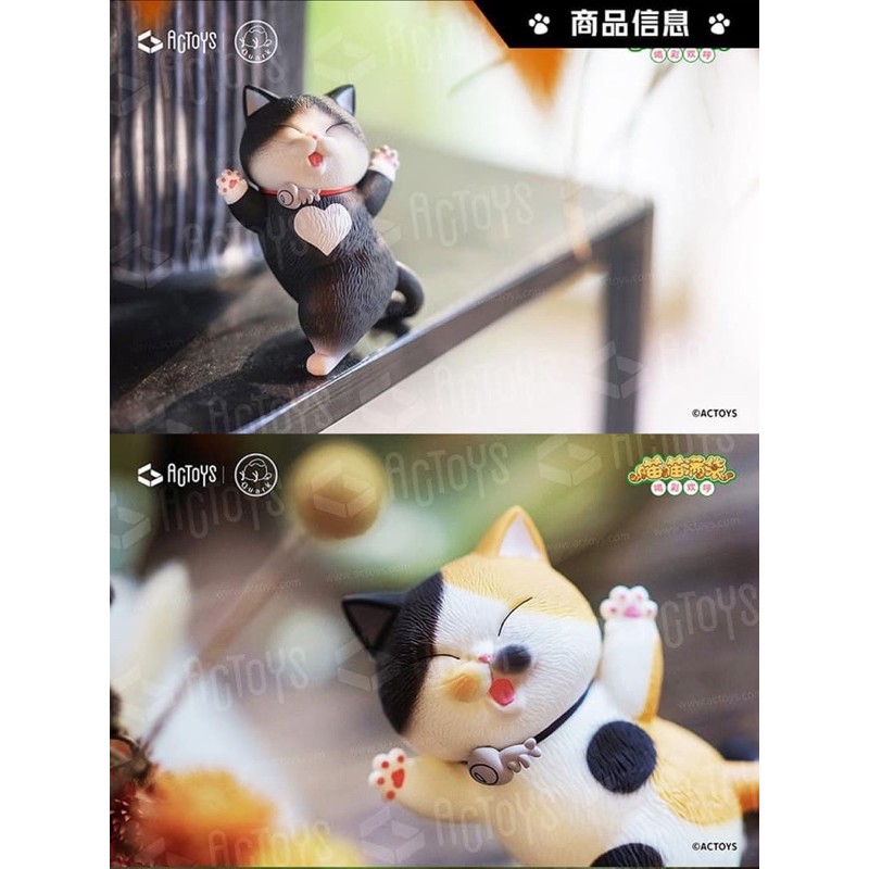 Sản Phẩm Blindbox : Bé Mèo