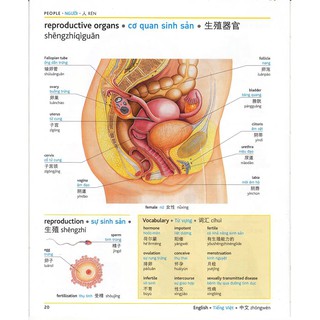 Sách - Pons general reference trilingual visual dictionary Vietnamese–English–Chinese+KÈM FILE NGHE TRỰC TUYẾN