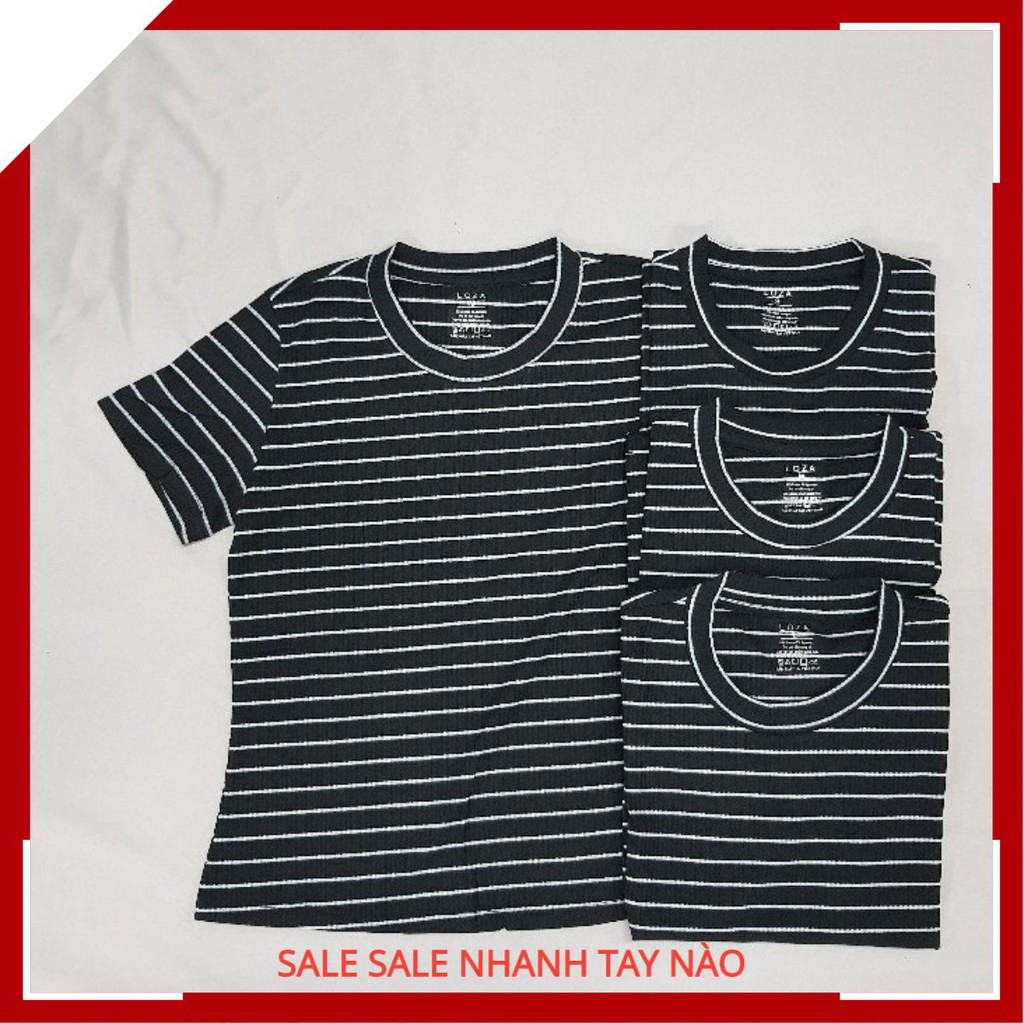 Áo Thun Nữ Đẹp Sọc Ngang Đơn Giản SXA01-024. ProvepShop | BigBuy360 - bigbuy360.vn