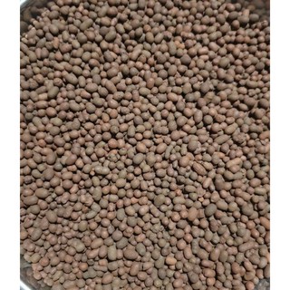 Đất nung - sỏi nhẹ size S - 1kg