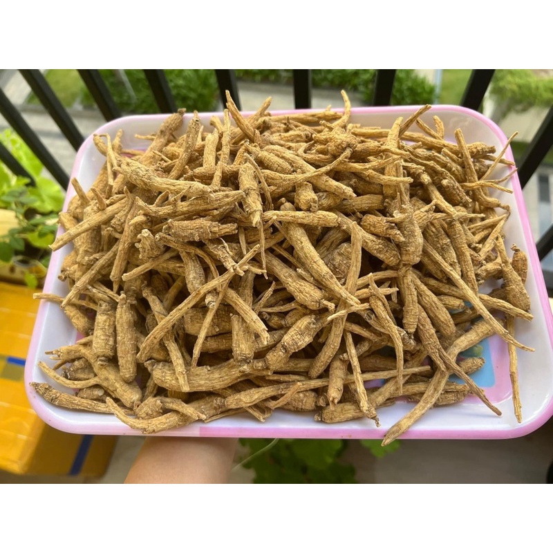 Sâm củ Hoa Kỳ 🇺🇸🇺🇸