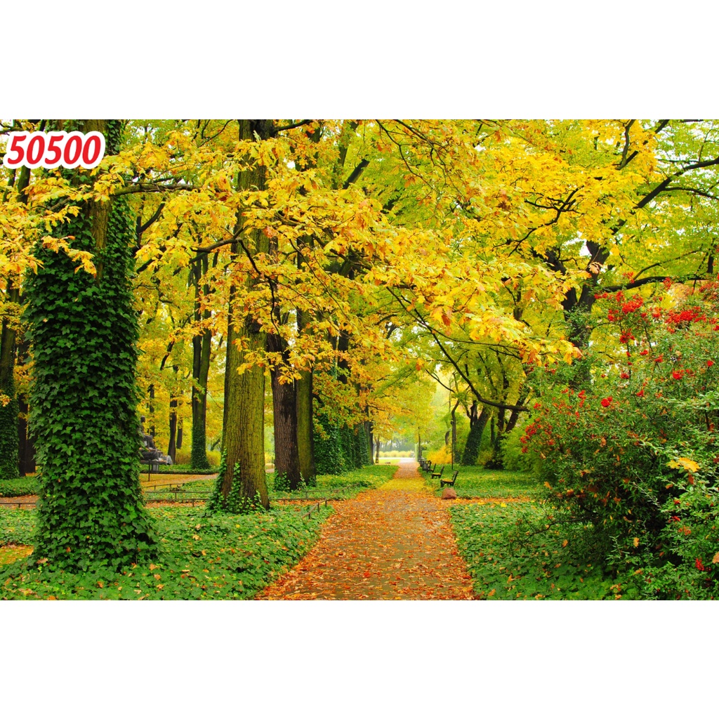 Tranh dán tường 3d mẫu con đường hàng cây chất liệu PP keo dán sẵn bền màu