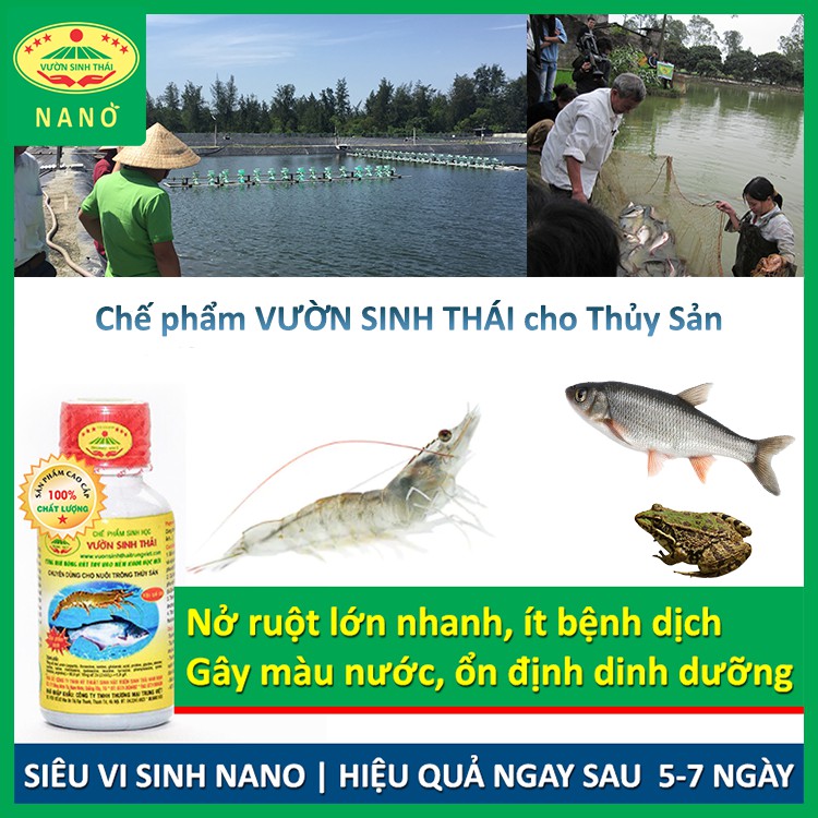 [Combo 5 chai] Chế phẩm sinh học Vườn Sinh Thái dùng cho Thủy Sản. Vi sinh NANO giúp Tôm, Cá, Ếch nở ruột, lớn nhanh