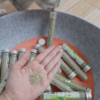 Cỏ bạc hà Catnip Catmint cho mèo