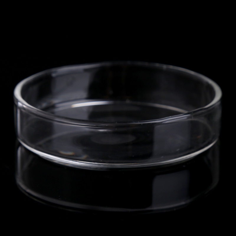 Khay đựng thức ăn bằng acrylic tiện dụng cho bể cá