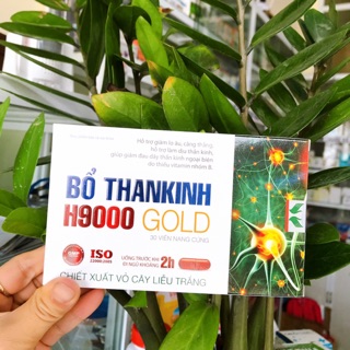 Bổ thần kinh H9000 ( hộp 20 Viên)
