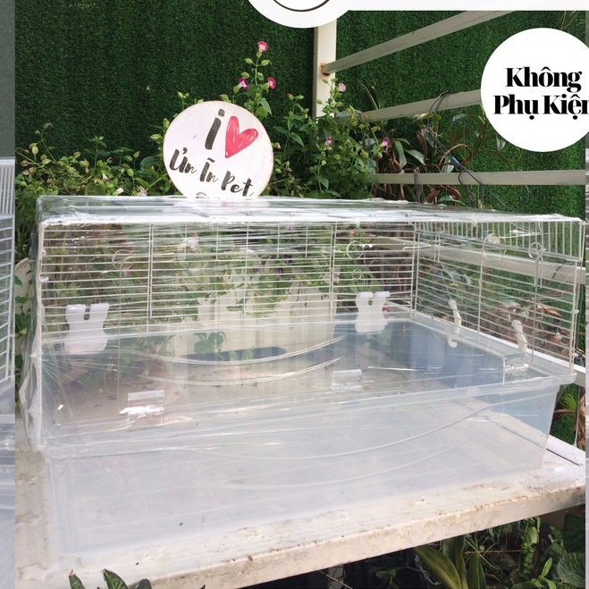Chuồng hamster, Size 60cm mặt mica, KHÔNG PHỤ KIỆN