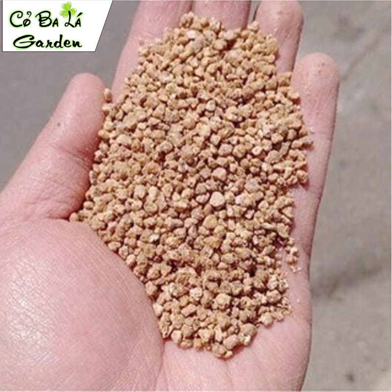 Đá masato giữ màu Sen đá Xương rồng,
