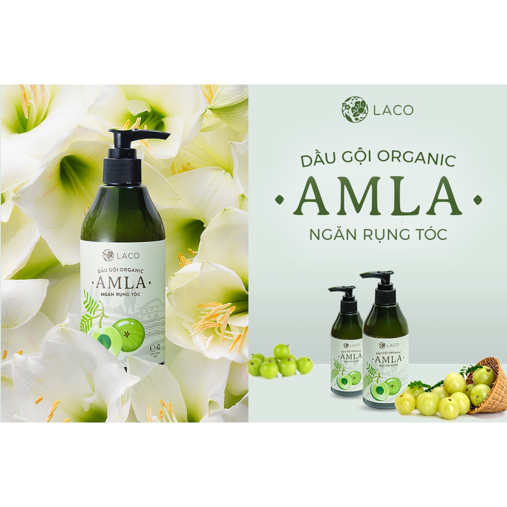 Dầu Gội Organic Amla - Laco - giảm rụng tóc - Cam kết chính hãng | BigBuy360 - bigbuy360.vn