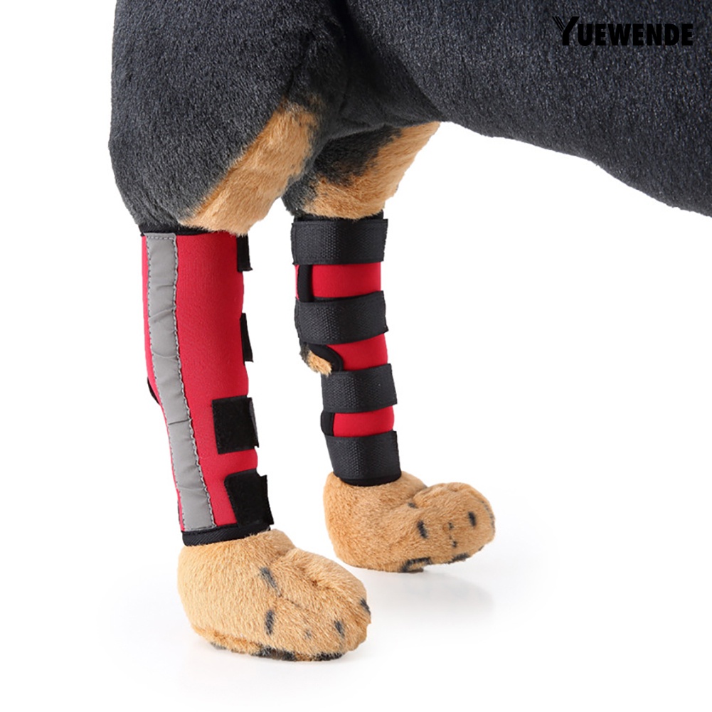 1 Cặp Băng Quấn Bảo Vệ Khớp Chân Cho Thú Cưng