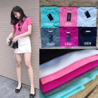 Combo 3 áo thun trơn cotton xước cổ tim