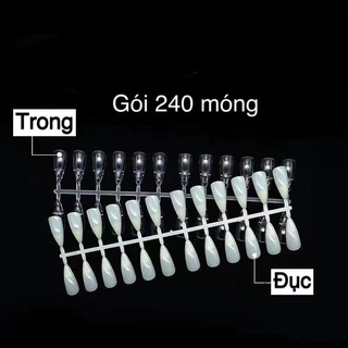 Vĩ móng tập sơn - vẽ - gắn sổ mẫu mới