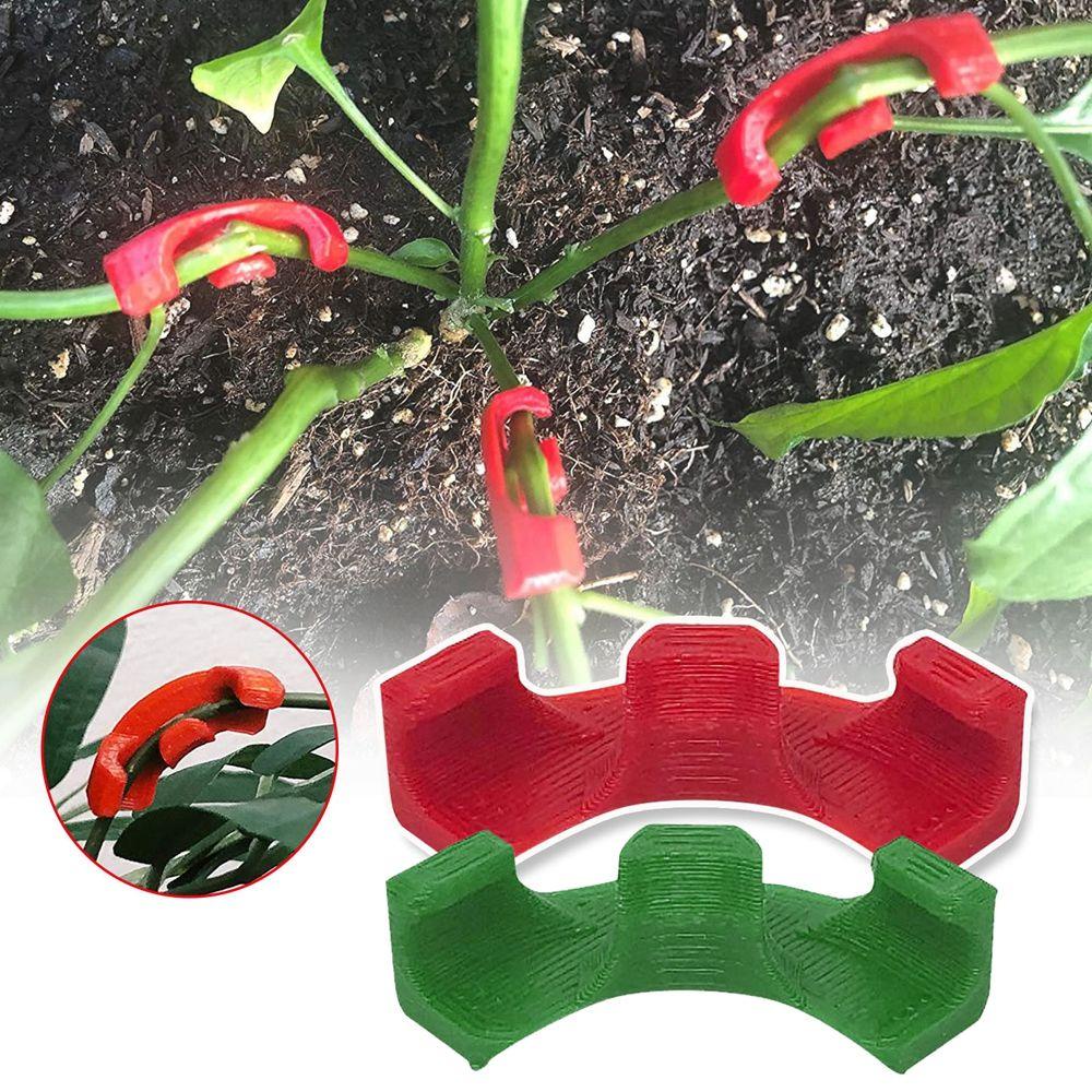 Giá Đỡ Trồng Cây Bằng Nhựa Cong Chuyên Dụng Cho Luyện Tập Giảm Căng Thẳng