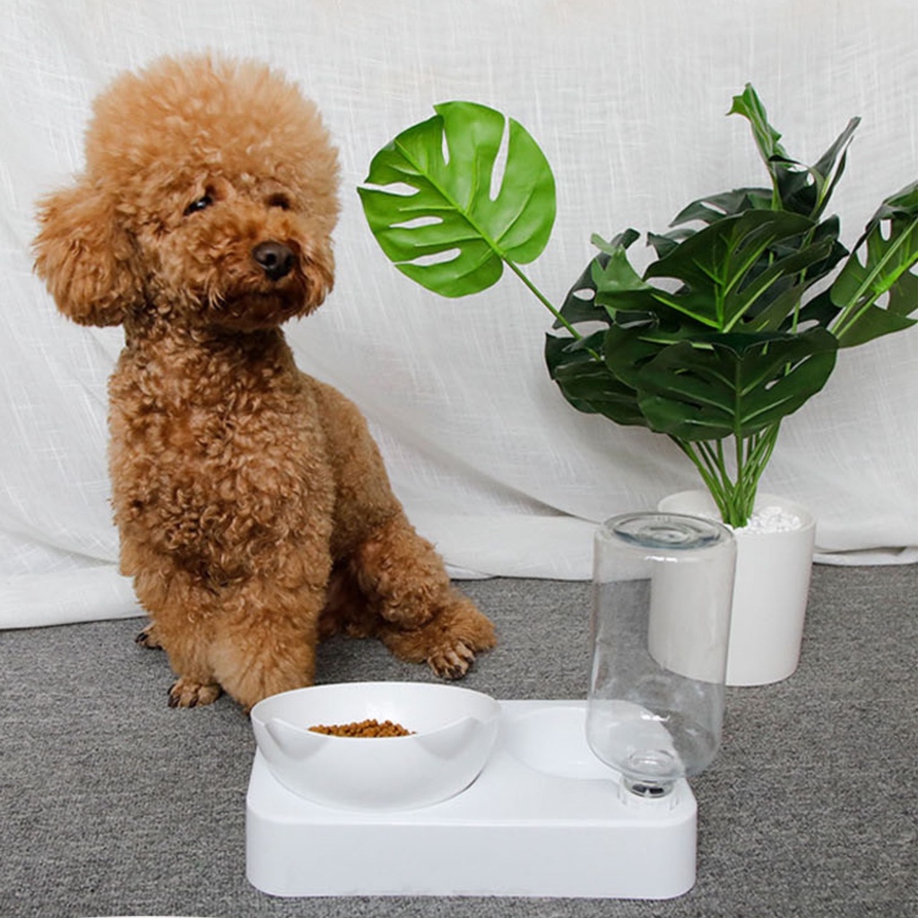 Bát Ăn Size Lớn Tự Động Bơm Nước Chống Gù Lưng Cho Thú Cưng Chó Mèo - MIAOCAT