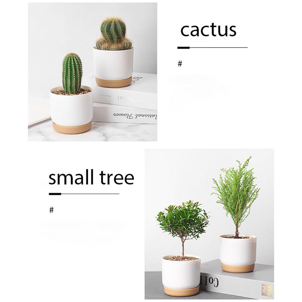 Chậu Hoa Nhỏ Tự Động Thấm Hút Nước Kèm Khay Để Bàn Trang Trí Sân Vườn