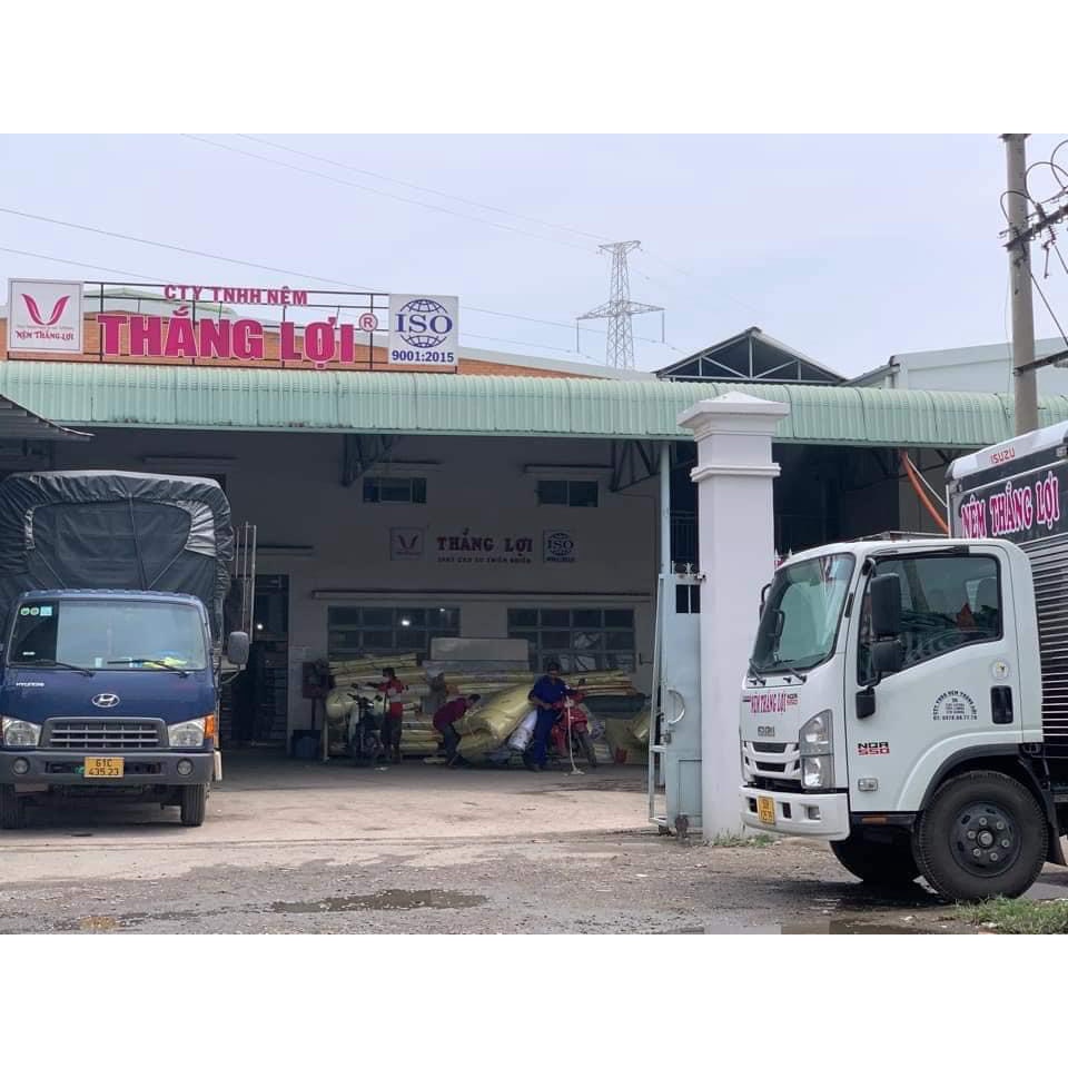 Ruột gối ôm bông gòn CTY Nệm Thắng Lợi siêu êm mềm giặt được, có khóa kéo