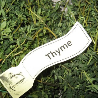 Lá thyme 10g
