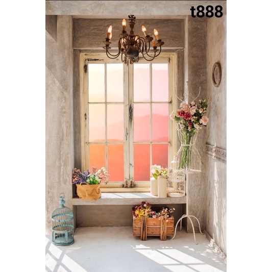 Phông nền chụp ảnh mã T888