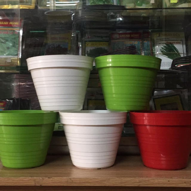 Combo 5 chậu treo sọc