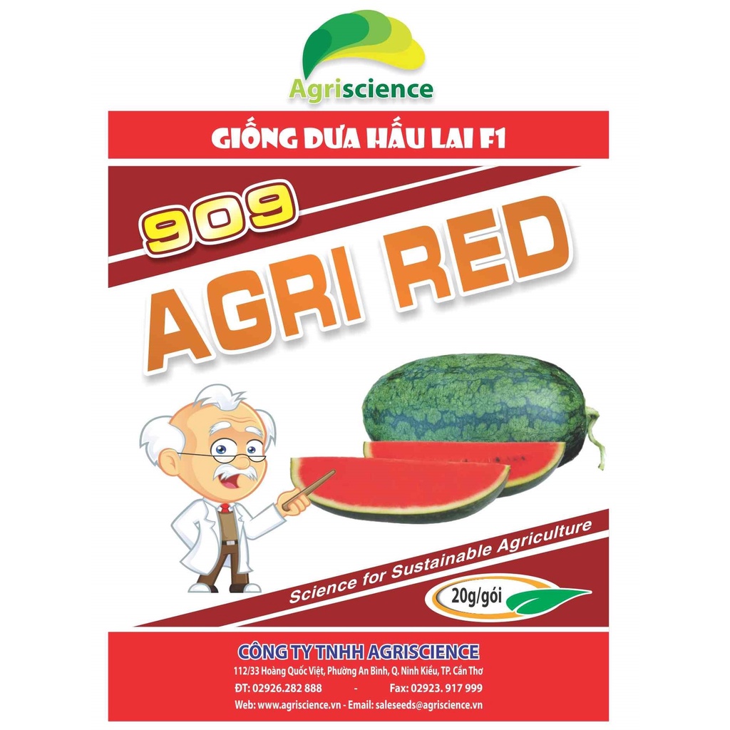 Hạt Giống Dưa Hấu AGRI USA 666 - (0.8gr (20 hạt)) - ( Gói 20gram)