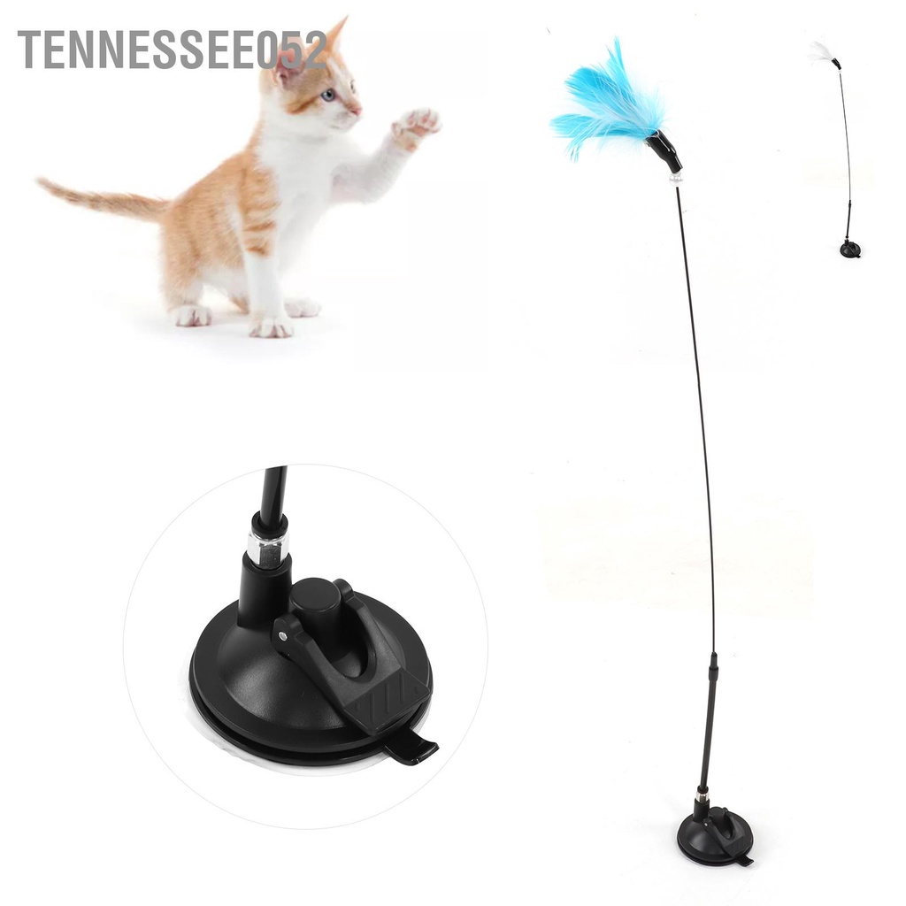 Tennessee052 Tách hút lông vũ mèo tương tác Gậy chọc ghẹo có chuông để con trong nhà tập thể dục cho già