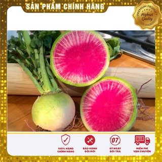 Hạt Giống Củ Cải Dưa Hấu ( 2 gram)