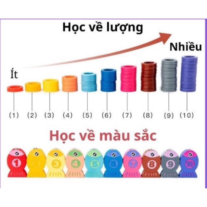 RẺ VÔ ĐỊCH BỘ CÂU CÁ 6 IN 1 BẰNG GỖ -ĐỒ CHƠI GIÁO DỤC