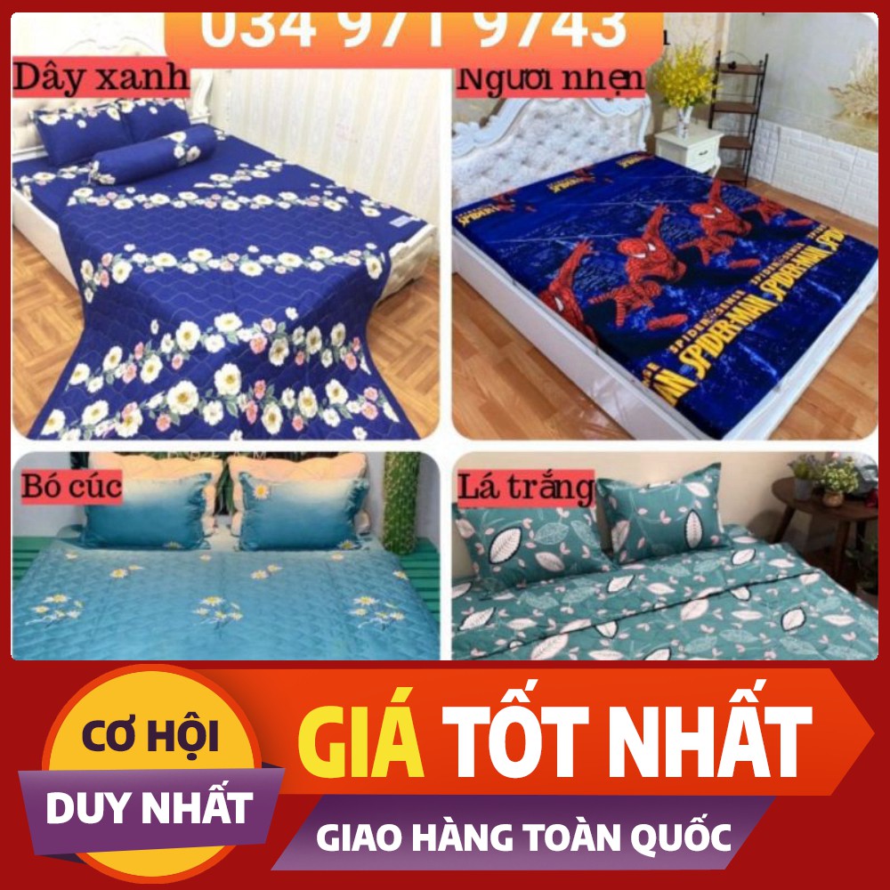 Bộ ga gối cotton poly, được chọn mẫu, gồm 1 ga chun và 2 vỏ gối