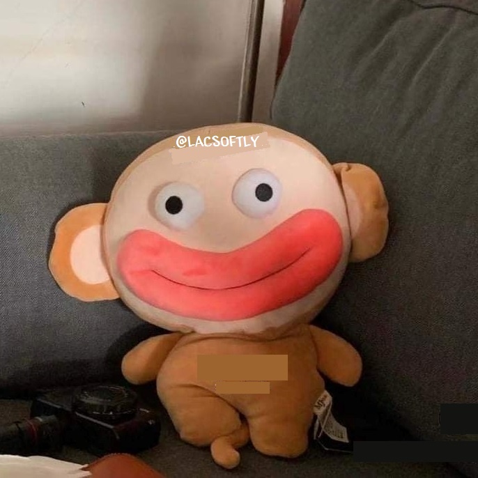 Order | Khỉ bông môi trề mắt trố độc đáo lạ mắt