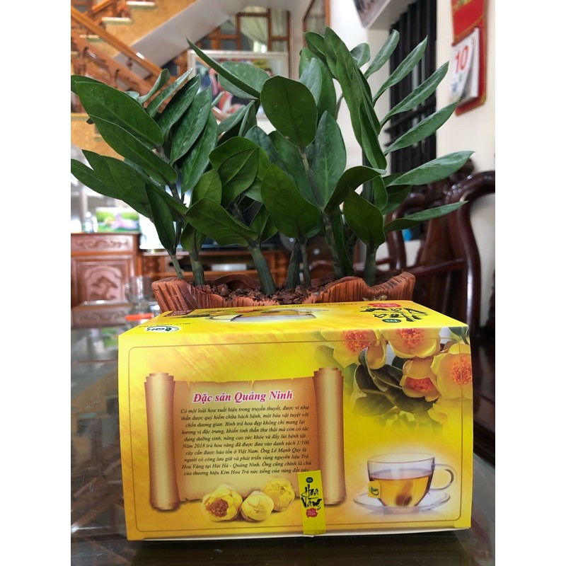 Trà hoa vàng túi lọc ( túi nhúng) | BigBuy360 - bigbuy360.vn