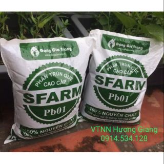2 túi phân trùn quế Đặng gia trang
