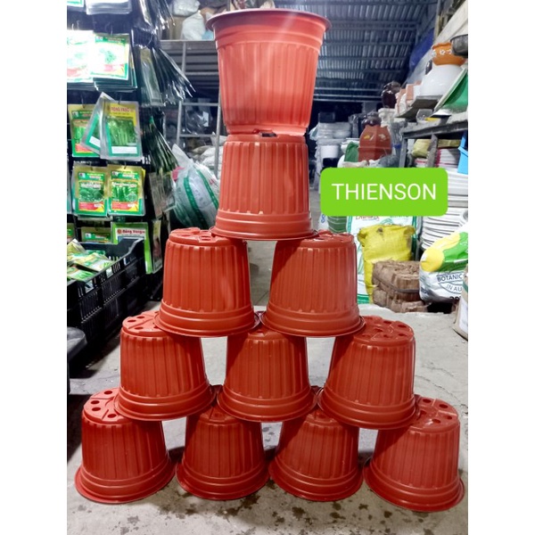 Chậu Nhựa Dẻo Hoa Văn Sọc Đỏ  RẤT DÀY