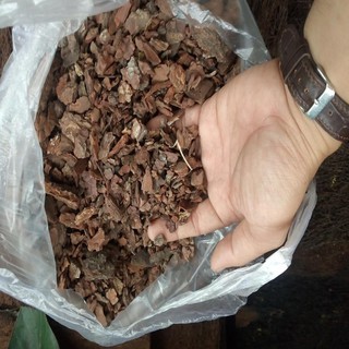 Vỏ thông trồng lan loại nhỏ 1kg