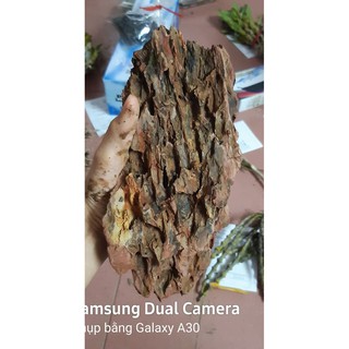 Đá tiger trang trí bể cá cảnh